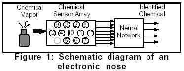 E-Nose
